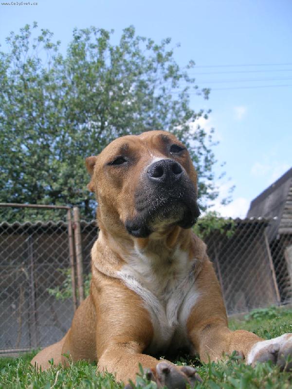 Foto: pohled-...zamilovan� pohled...