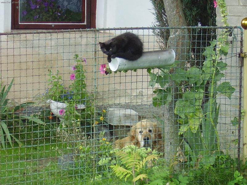 Foto: kde je po���k