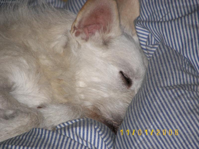 Foto: zaslou�en� sp�nek,,