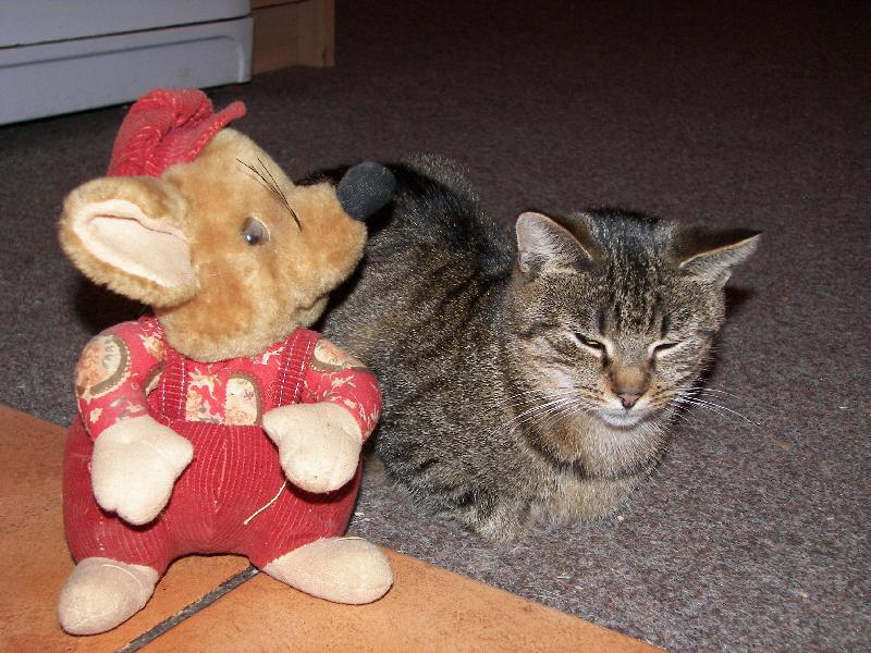 Foto: Tom a Jerry-:))