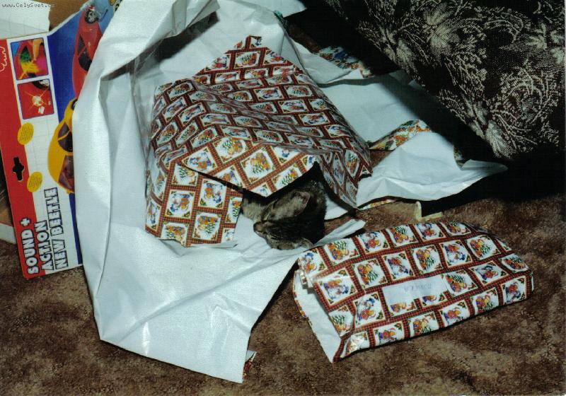 Foto: D�re�ek-N�ro�n� rozbalov�n� d�rk�