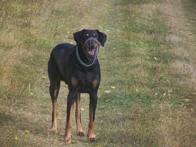 Foto: Tak nezdr�uj.