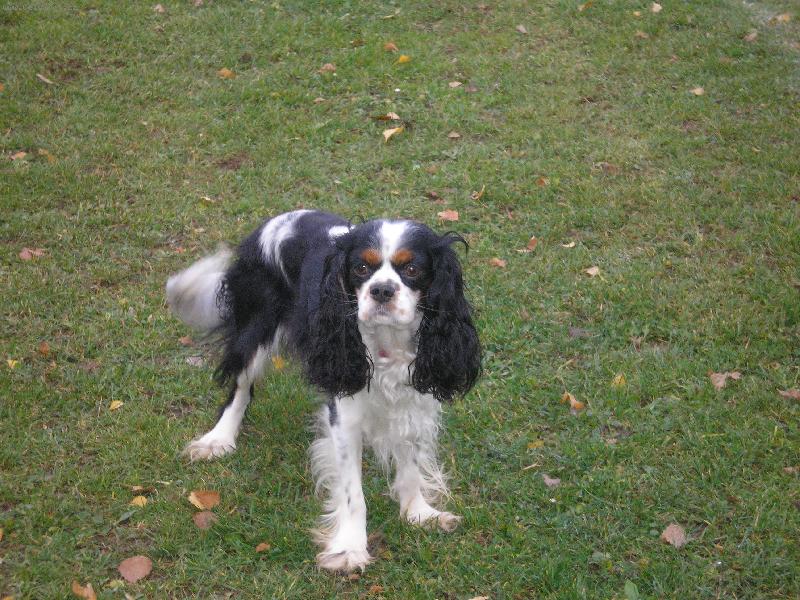 Foto: mil��ek-u� mne pros�m nefo�