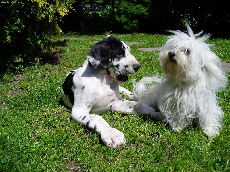 Foto: Nerozlu�n� dvojka