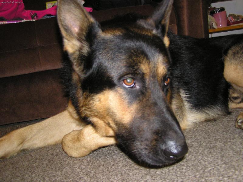 Foto: beny�ek-odpo�inek