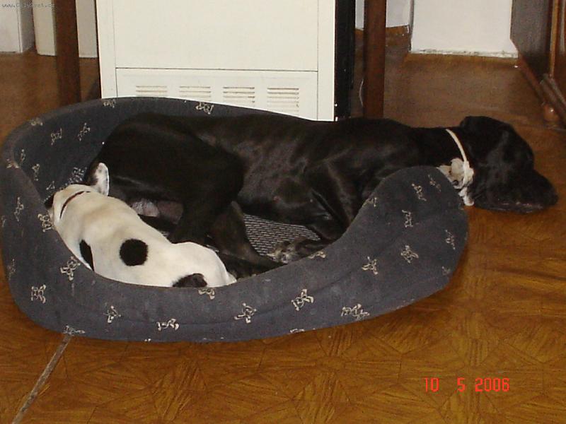 Foto: Odpoledn� siesta