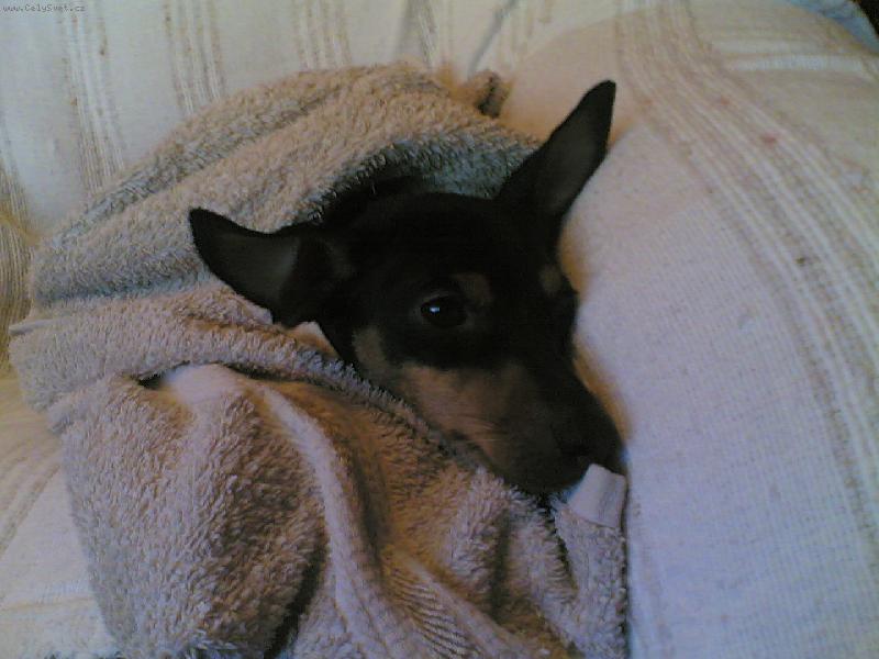 Foto: ..u� se nechci koupat...