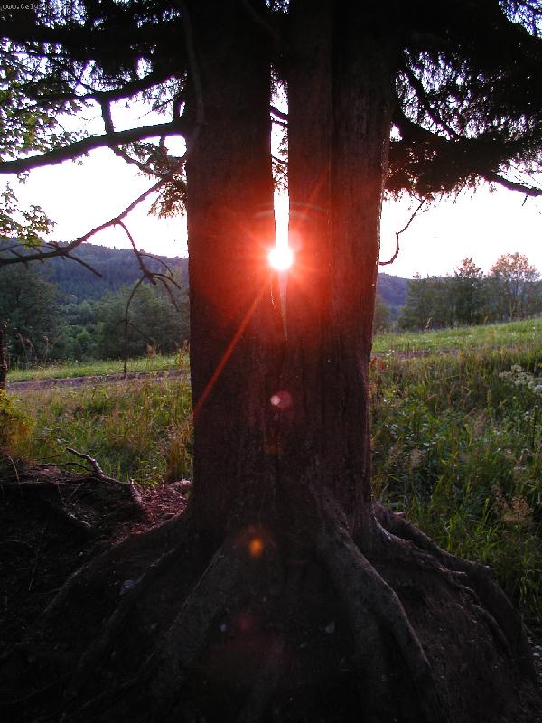 Foto: Dvoj�ata z Orlick�ch hor