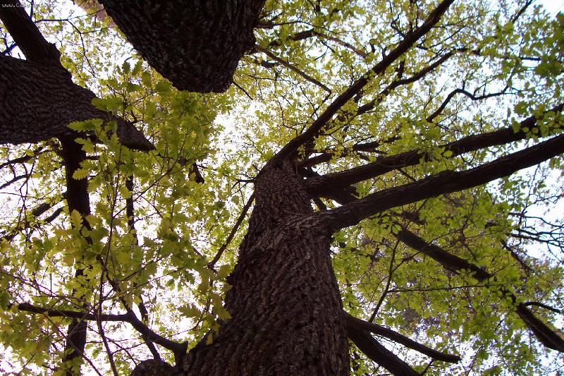 Foto: barevn� podzim