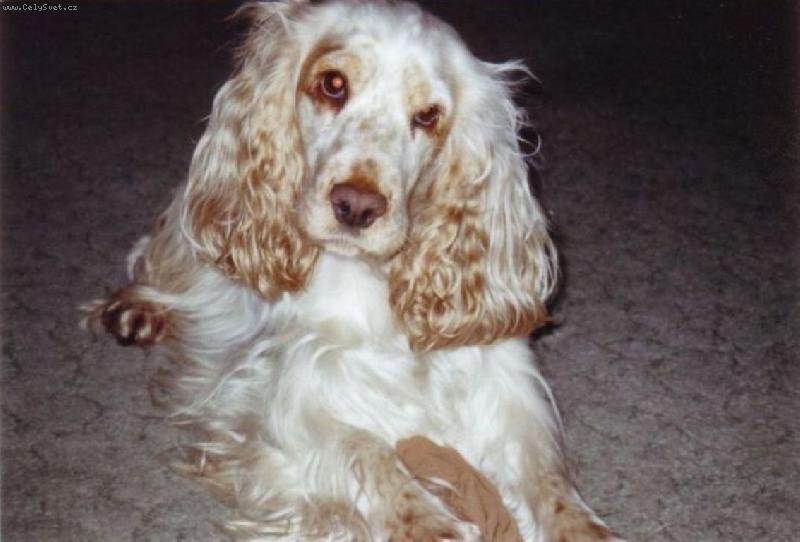 Foto: S�rinka-Tak to jsem j�:-)