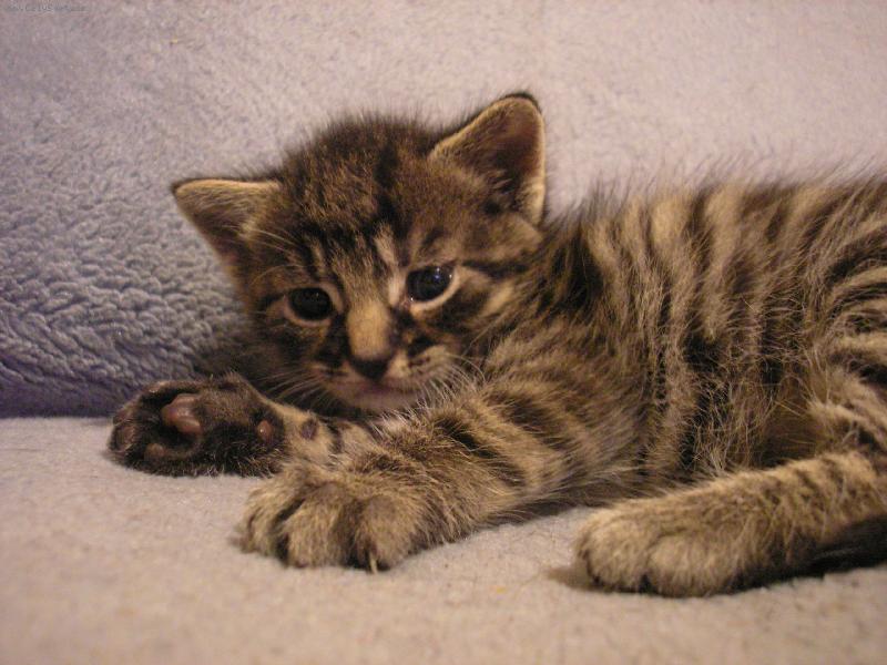 Foto: n� Mike�ek jako mrn�