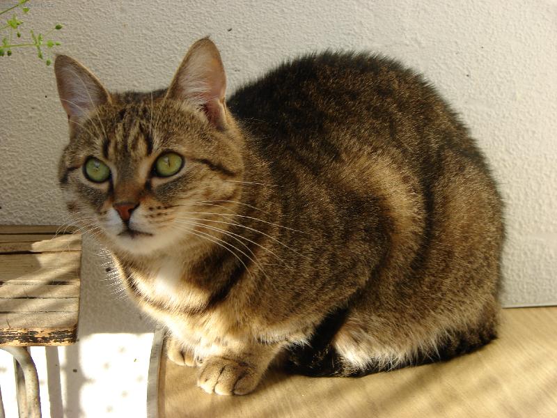 Foto: Eli�ka pozoruje