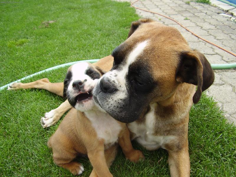 Foto: �istil sis dneska zoubky?