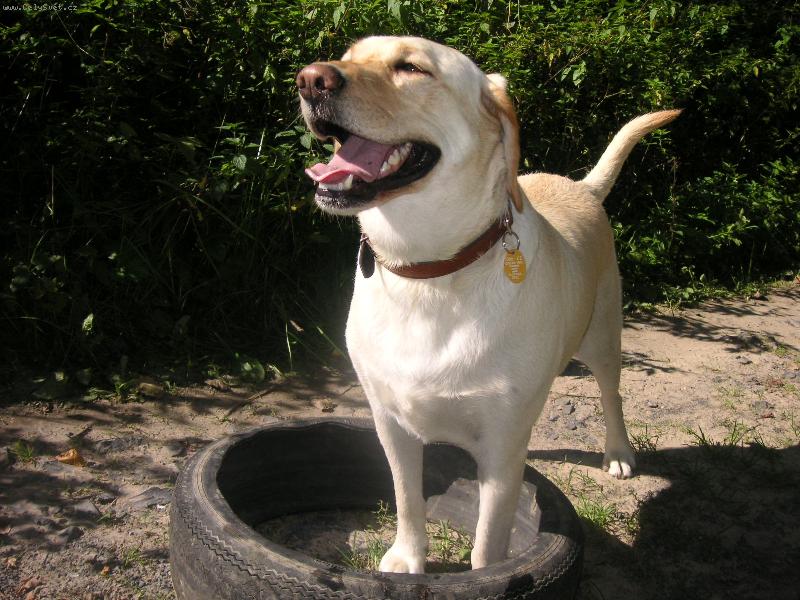 Foto: v�t�zstv�-a m�m tu gumu, he�!