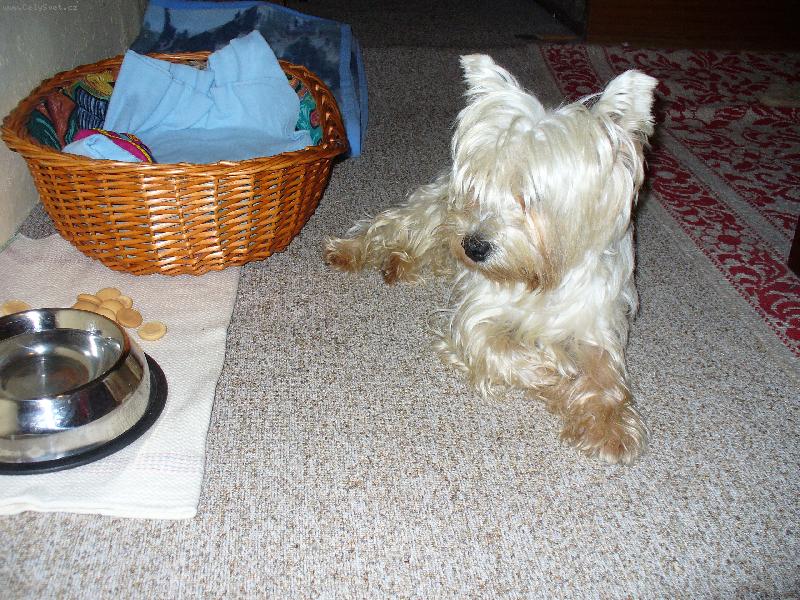 Foto: Benn��ek-Dostal jsem nov� pel�ek