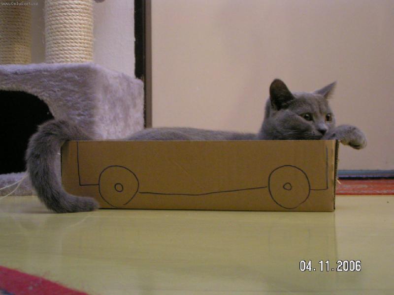 Foto: Eli�ka-Cestovn� �nava