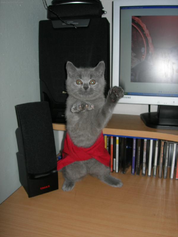 Foto: Mazlik-D�me tanec...