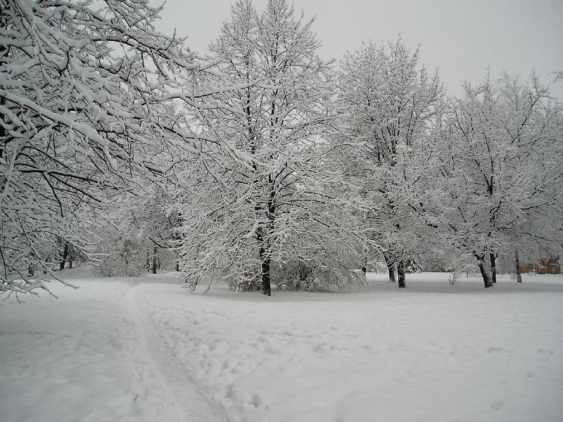 Foto: Zima-Kr�sn� zasn�en�