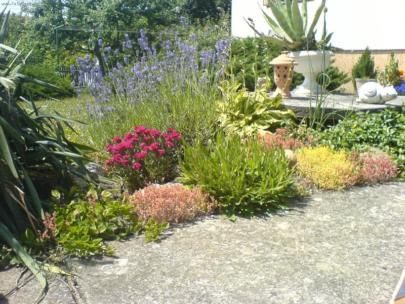 Foto: Zahr�dka na ja�e