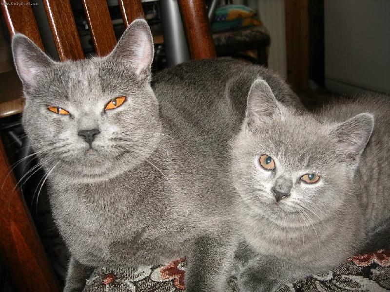 Foto: Debbie-moje zlat��ka