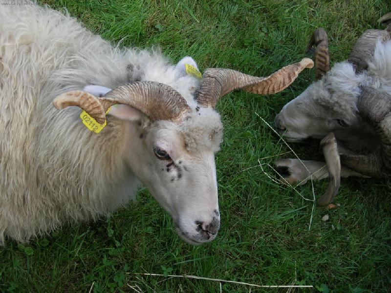 Foto: Nov� Ji��n-Beran