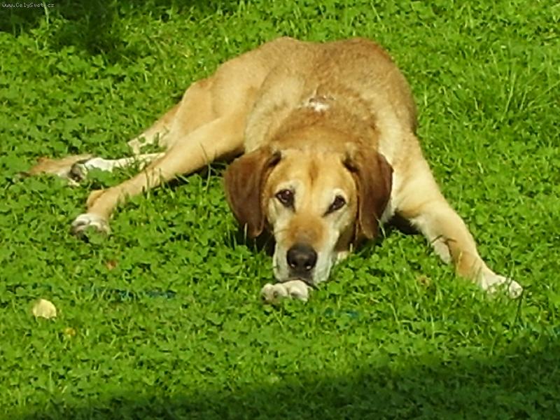 Foto: to je ale nuda...