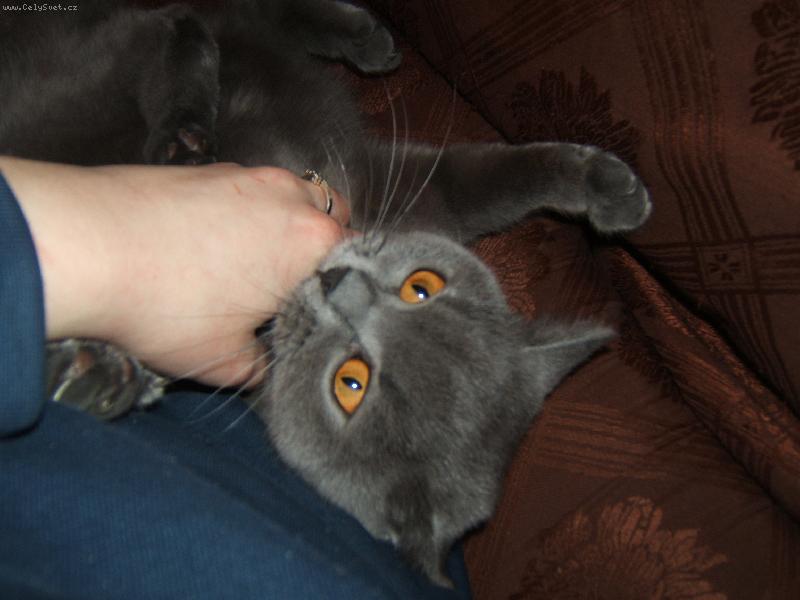 Foto: no po�kej-no po�kej