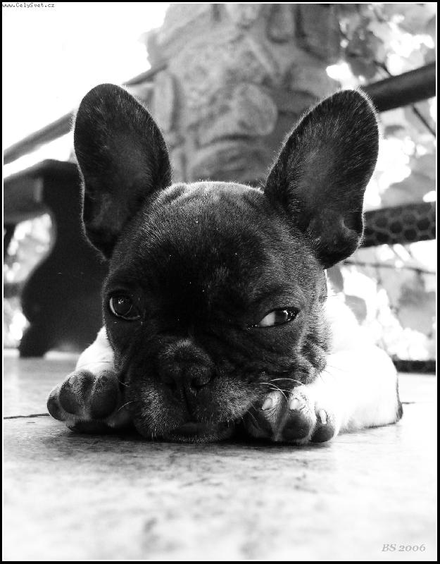 Foto: ..takhle mi p�eb�rat p�n��ka!....