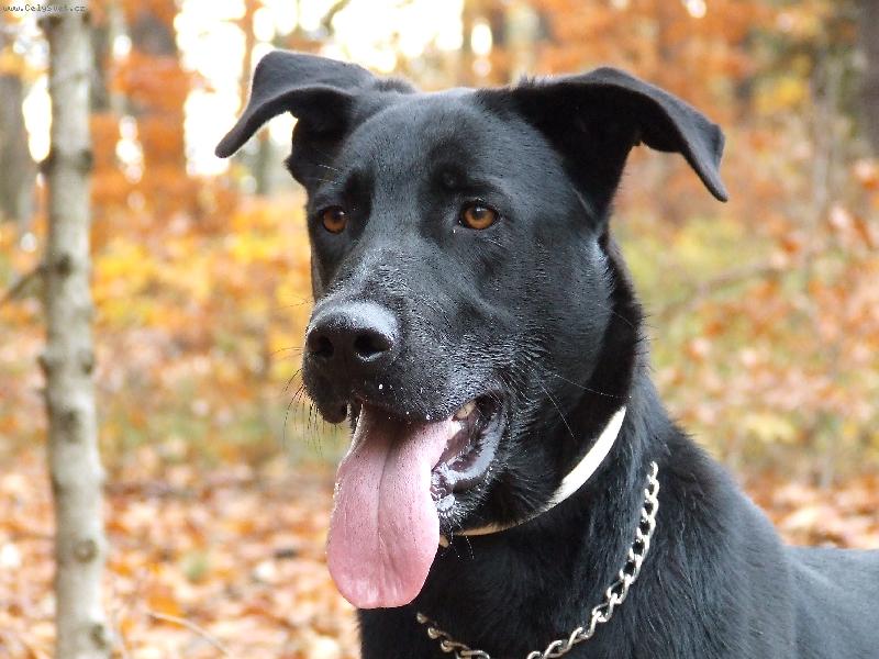 Foto: Dyk-bystr� pohled