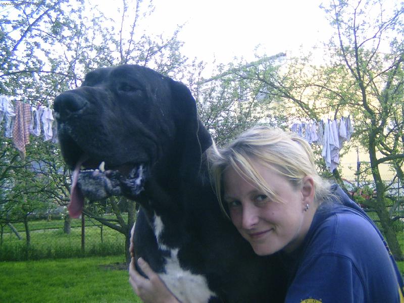 Foto: J� a m�j pes-Orleans Jack�v sm�ch