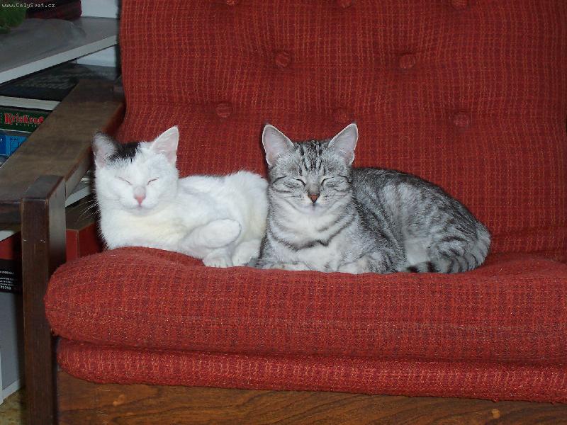 Foto: Sest�i�ky Roz�rka a Cecilka