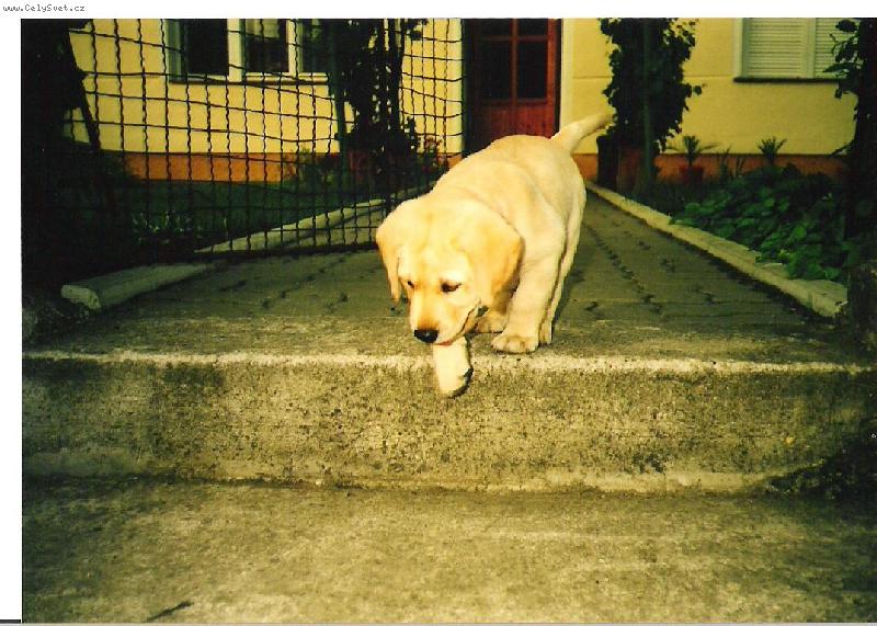 Foto: A je�t� druhou no�i�ku...