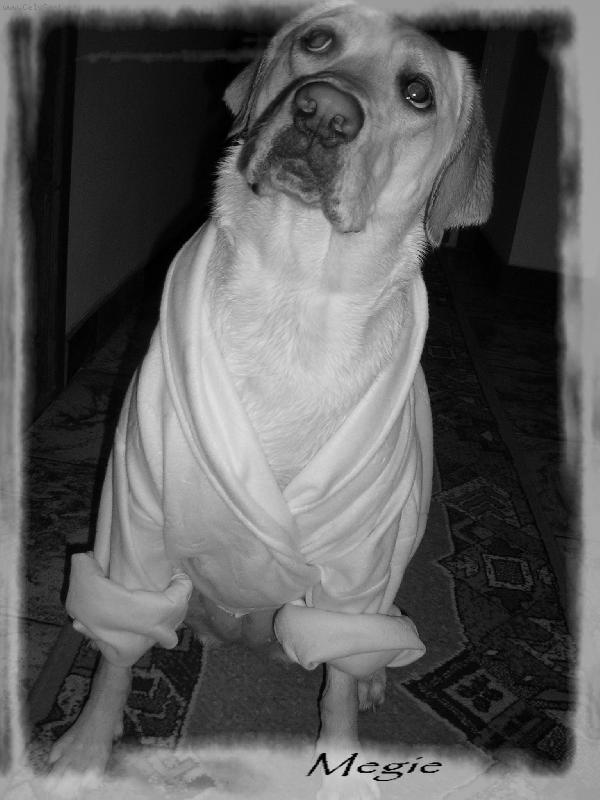 Foto: Meginka po koupeli