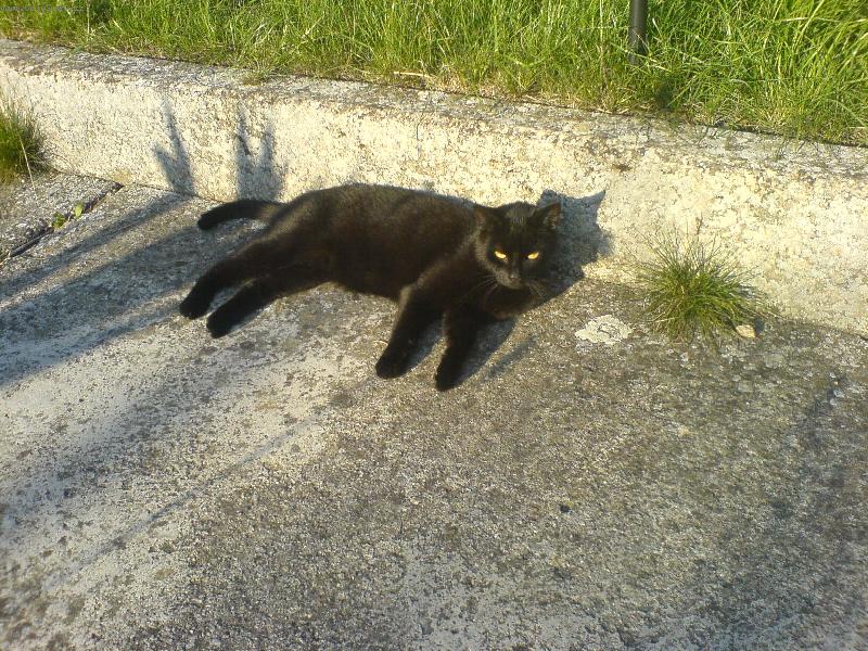 Foto: Mike� se vyh��v� ...