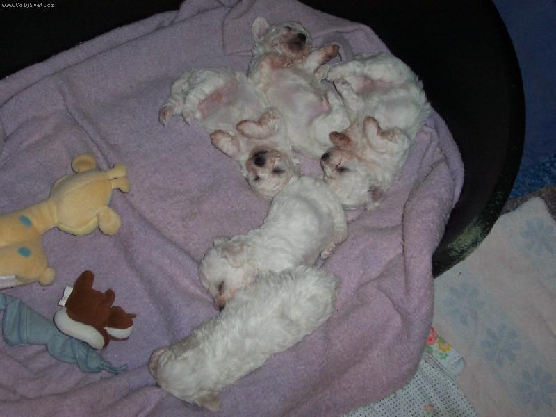 Foto: po velk� pr�ci