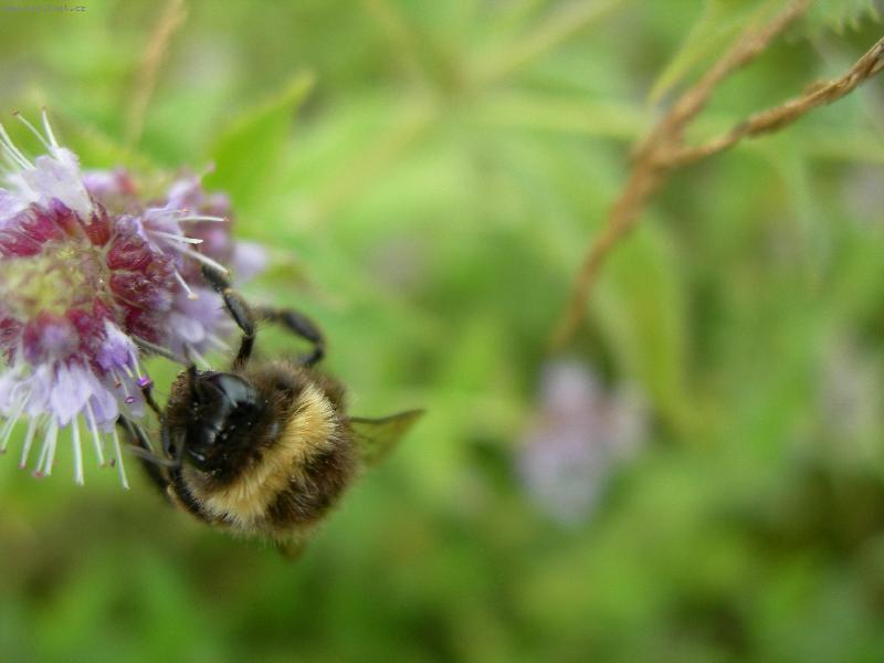 Foto: no name-bez komentaru