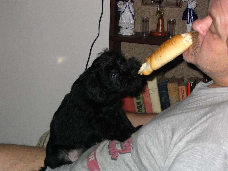 Foto: Dej sem ten rohl�k !!!!