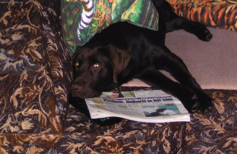 Foto: Buddy-Tak kde jste kdoooo :-(