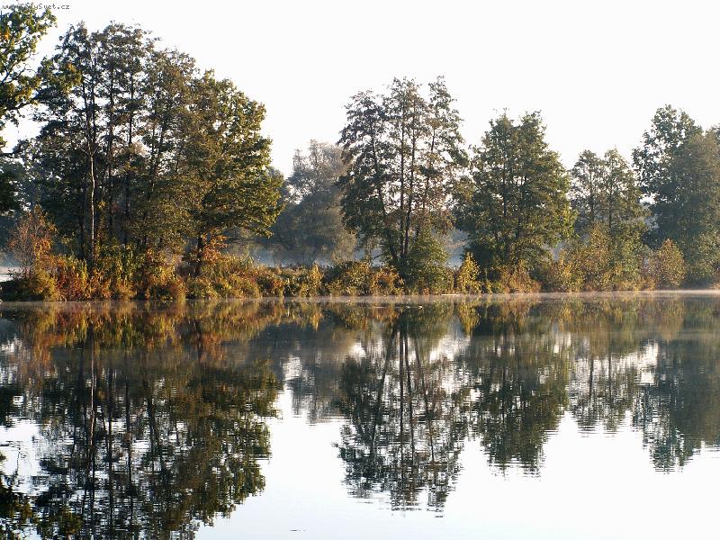 Foto: Podzim na Orlici