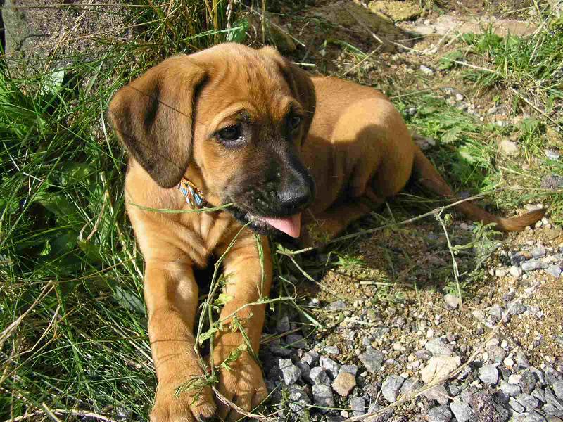 Foto: To m�m hezk� jaz��ek!!!