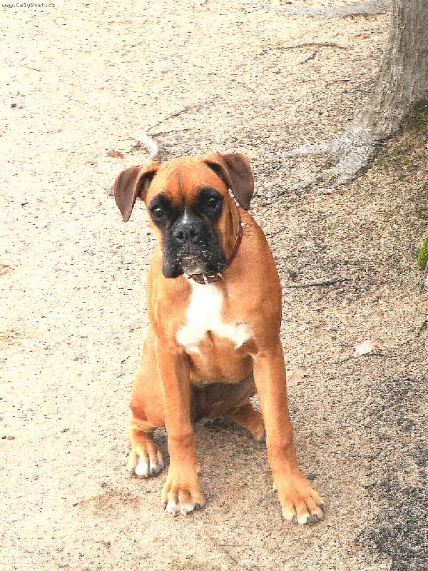 Foto: MI�tko-U� to bude...?