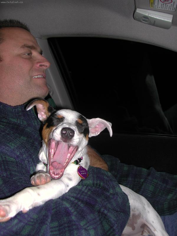 Foto: Jackey-rekni aaaaaaaa....