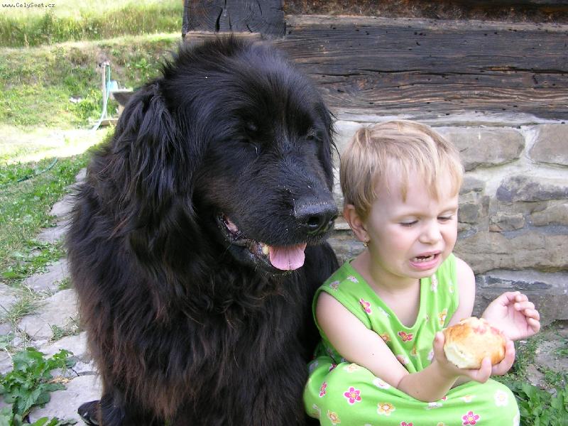 Foto: Dej sem ten kol��ek nebo t� sn�m