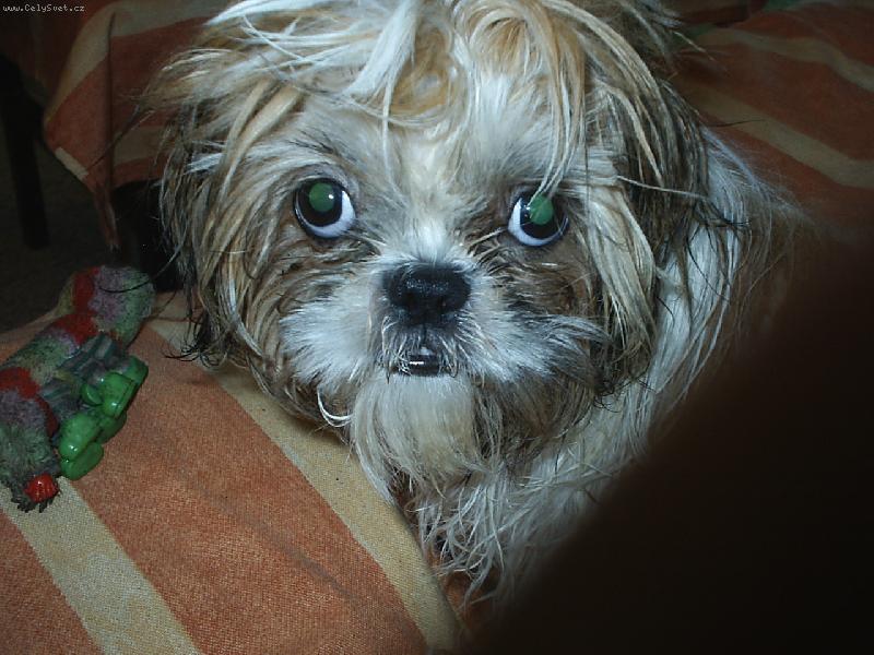 Foto: nezlobte me!!!