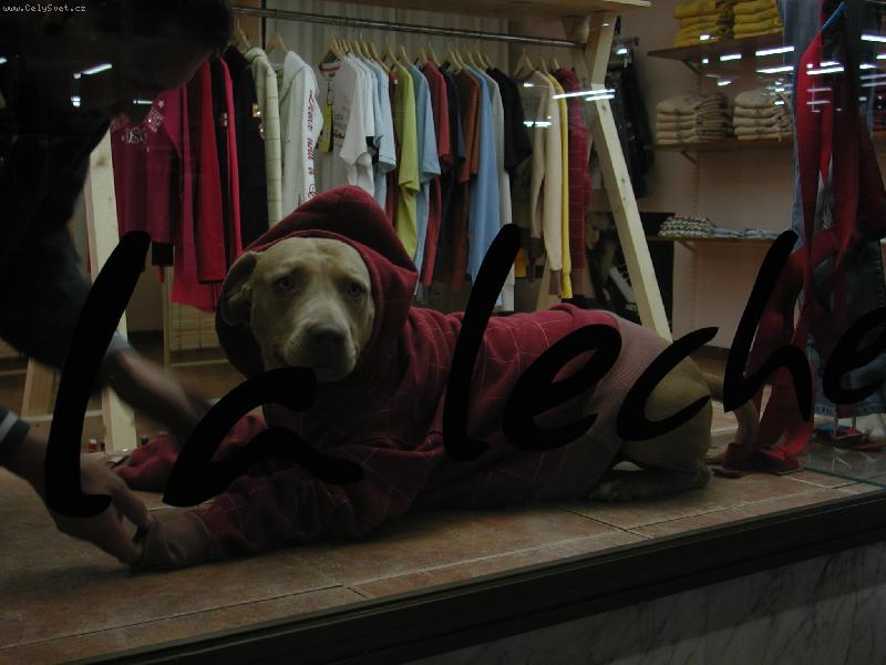 Foto:  MILACEK MODELINGU