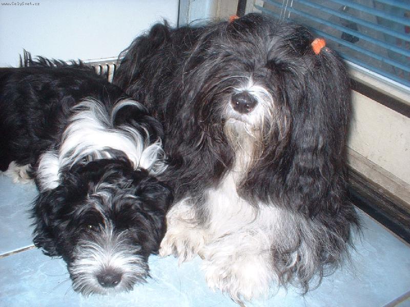 Foto: ENI + DEBBIE-mama Eni a jej dcera