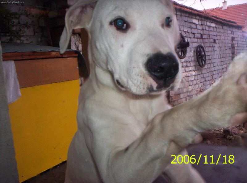 Foto: Fatimka-pus�te m�