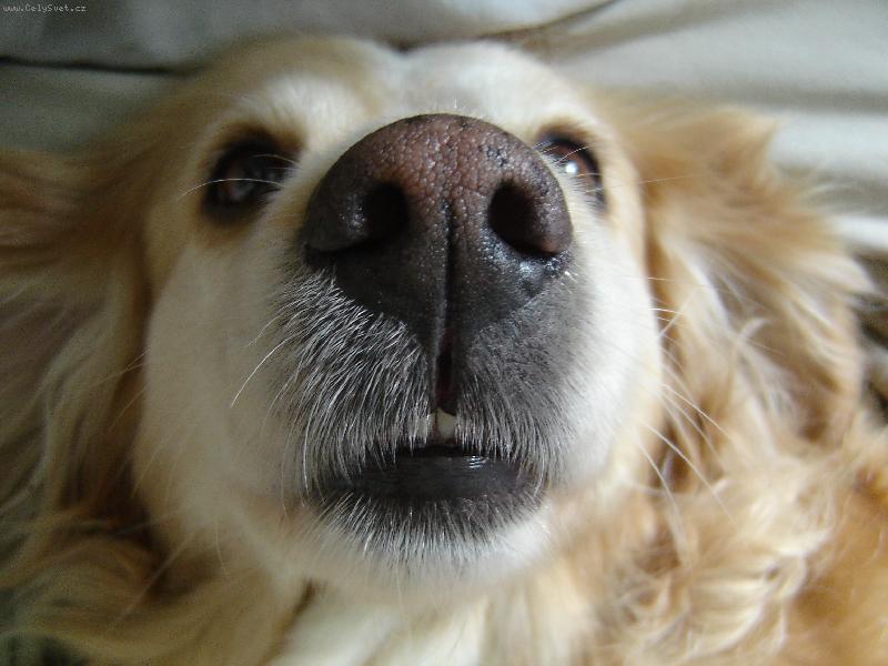 Foto: Doly�ka-...�um�kuju...