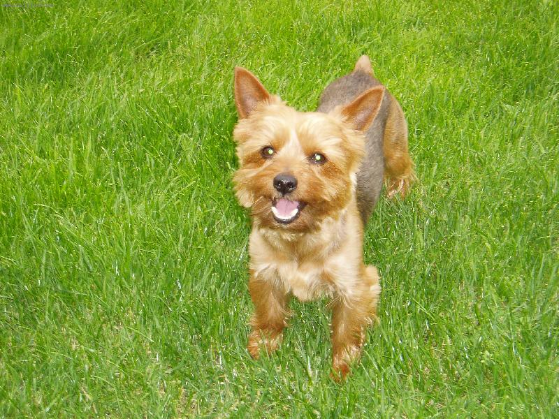 Foto: Tio Pepe-�sm�v???