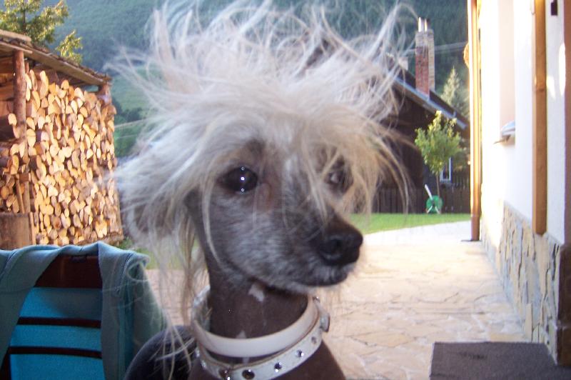 Foto: Kadernik-Milujem nove ucesy